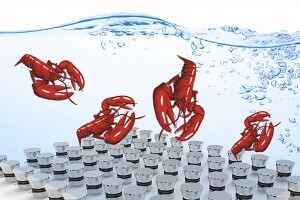 生蠔如何快速清洗？超聲波清洗機讓生蠔小龍蝦田螺大閘蟹更美味